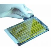 SealPlate film for ELISA, EIA, and similar assays, PK/100