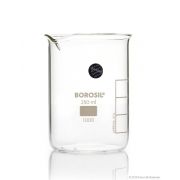 Borosil® Beakers, Low-Form, with Spouts, 250mL, 40/CS